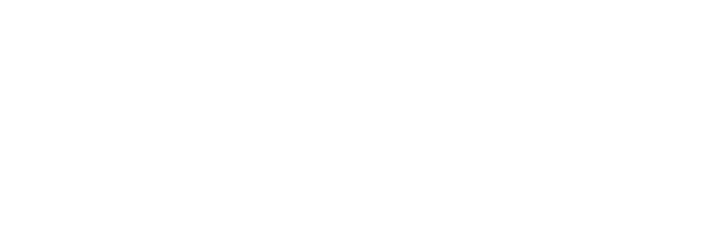 Logo SOLIZY blanc